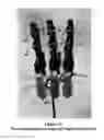 Fig. 09 - Joint and digit