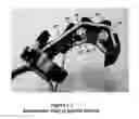 Fig. 12 - Joint and digit