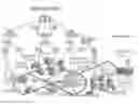 Fig. 01 - System, method, and apparatus for electric power grid and network management of grid elements