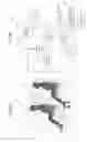 Fig. 04 - System and method for controlling vehicle seat movement
