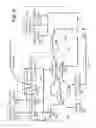 Fig. 07 - Intra-operative registration of anatomical structures