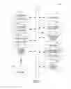 Fig. 07 - Systems and methods for using generic anatomy models in surgical planning