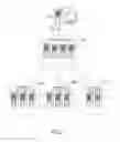 Fig. 02 - Facilitating provisioning in a mixed environment of locales