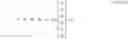 Fig. 02 - ESTIMATING REQUIRED TIME FOR PROCESS GRANULARIZATION