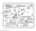 Fig. 01 - PRESENTING CHARACTERISTICS OF CUSTOMER ACCOUNTS