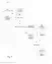 Fig. 08 - SYSTEM AND METHOD FOR CREATING AND TARGETING MARKETING MATERIALS TO GROUPS ON THE BASIS OF GROUP COMPOSITION