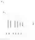 Fig. 03 - TRADING INTERFACE FOR SINGLE-CLICK OPEN ORDER CANCEL-REPLACE
