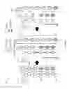 Fig. 07 - Hierarchical indicies
