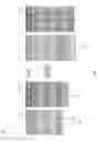 Fig. 08 - Hierarchical indicies
