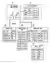 Fig. 01 - Transaction-Based Traversal-Free Data Synchronization Among Multiple Sites