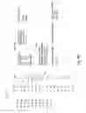 Fig. 12 - Matching transactions in multi-level records