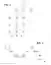 Fig. 02 - MASS CUSTOMIZATION OF MEDIA AND STATISTICAL PROJECTION FROM MASS CUSTOMIZED MEDIA