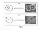Fig. 08 - Gesture-based image shape filtering