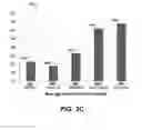 Fig. 05 - Structured Data to Aggregate Analytics