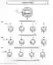 Fig. 01 - Object store management operations within compute-centric object stores