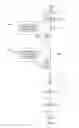 Fig. 04 - CREATING REAL-TIME ASSOCIATION INTERACTION THROUGHOUT DIGITAL MEDIA