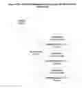 Fig. 03 - Dimensional Articulation and Cognium Organization for Information Retrieval Systems