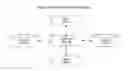 Fig. 16 - Dimensional Articulation and Cognium Organization for Information Retrieval Systems