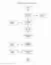 Fig. 20 - Dimensional Articulation and Cognium Organization for Information Retrieval Systems
