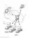 Fig. 02 - Streaming representation of moving objects and shapes in a geographic information service
