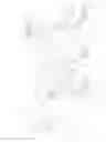 Fig. 04 - Inexact search acceleration
