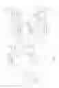 Fig. 05 - Inexact search acceleration