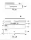 Fig. 07 - Instruction for performing a pseudorandom number seed operation