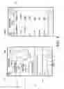 Fig. 10 - Application-centric socialization