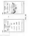 Fig. 22 - Application-centric socialization