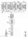 Fig. 19 - Dynamic user interface delivery system