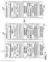 Fig. 09 - User interface and content translation system