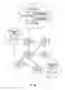 Fig. 16 - Distribution of streaming content between media players configured to locate each other