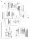 Fig. 06 - Data transmission for transaction processing in a networked environment