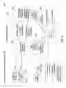 Fig. 07 - Data transmission for transaction processing in a networked environment