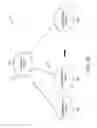 Fig. 06 - Load balancing for a virtual networking system
