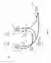 Fig. 07 - Fault tolerant clock network