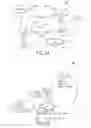 Fig. 06 - Split transaction protocol for a bus system