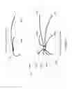 Fig. 06 - HIGH SPEED DISK ARRAY SPIDER CABLE