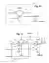 Fig. 11 - Dynamic address grouping for parallel programming in non-volatile memory