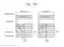 Fig. 19 - Non-volatile multi-level cell memory system and method of performing adaptive data back-up in the system