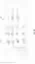 Fig. 08 - Memory interface offset signaling