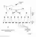 Fig. 06 - Identifying logical planes formed of compute nodes of a subcommunicator in a parallel computer