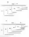 Fig. 02 - Minimizing switchover time in a hot swappable program memory