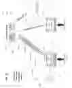 Fig. 30 - Systems and Methods for Distributing, Displaying, Viewing, and Controlling Digital Art and Imaging