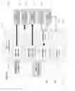 Fig. 22 - Systems and Methods for Decrypting Digital Art and Imaging for Display of the Same