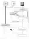 Fig. 04 - Media delivery service protocol to support large numbers of client with error failover processes