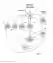 Fig. 05 - Systems, apparatuses, and methods for handling timeouts