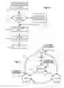 Fig. 06 - Retention logic for non-volatile memory