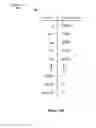 Fig. 06 - Automatic supplementation of word correction dictionaries