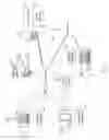 Fig. 02 - Dynamic social networking content